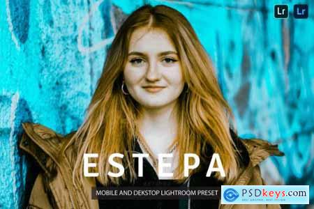 Estepa Lightroom Presets Dekstop and Mobile