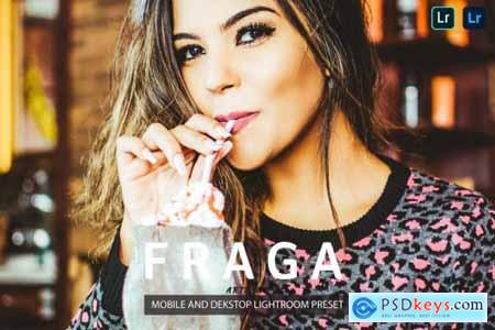 Fraga Lightroom Presets Dekstop and Mobile