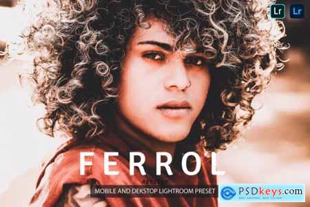 Ferrol Lightroom Presets Dekstop and Mobile