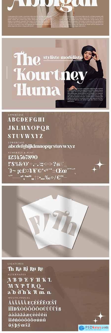 Megiska Modern and Stylish Serif 6652970