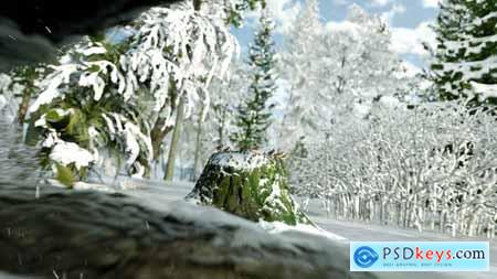 Winter Forest Nature Logo 29985870