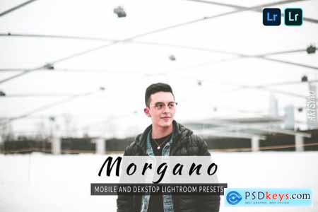 Morgano Lightroom Presets Dekstop and Mobile