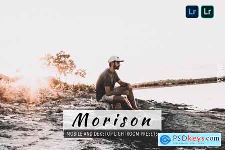 Morison Lightroom Presets Dekstop and Mobile