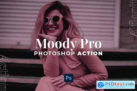 Moody Pro Photoshop Action