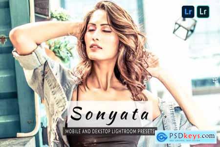 Sonyata Lightroom Presets Dekstop and Mobile