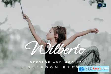 Wilberto Desktop and Mobile Lightroom Preset