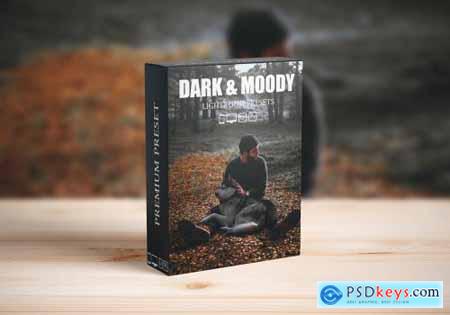 Dark and Moody Lightroom presets 6281502