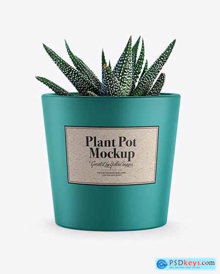 Ceramic Plant Pot Mockup 36670