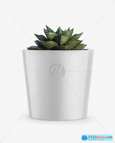 Glossy Plant Pot Mockup 36681