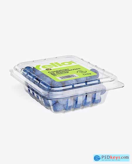Container w- Blueberries Mockup 42354