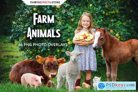 46 Farm Animals Photo Overlays 6652852