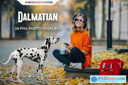 28 Dalmatian Photo Overlays 6652850