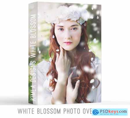 Kimla Designs - White Blossoms Overlays