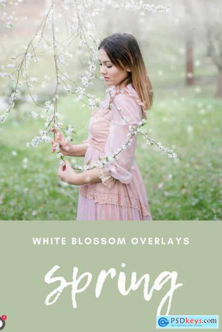 Kimla Designs - White Blossoms Overlays