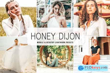Honey Dijon Pro Lightroom Presets 6640953