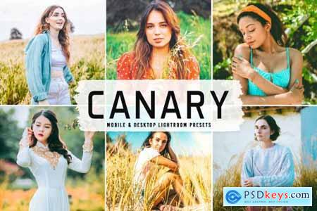Canary Pro Lightroom Presets 6622407