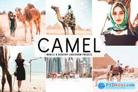 Camel Pro Lightroom Presets 6622399