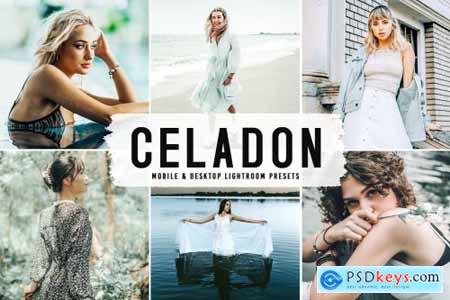 Celadon Pro Lightroom Presets 6622413