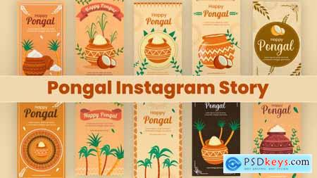 Pongal Instagram Story Pack 35403593