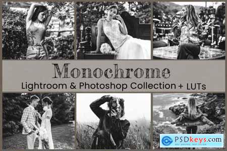 Monochrome Lightroom Photoshop LUT 6802983