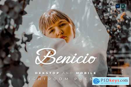Benicio Desktop and Mobile Lightroom Preset
