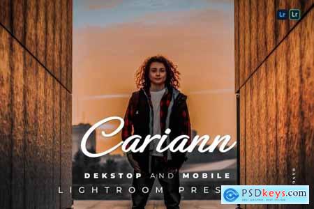 Cariann Desktop and Mobile Lightroom Preset