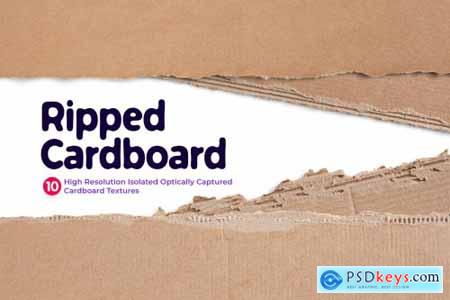 Creativemarket Ripped Cardboards 6725318