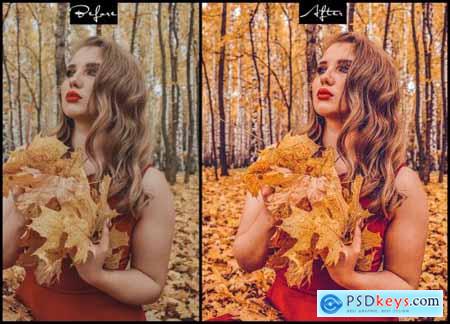 Fall Vibes - Photoshop Actions & Lightroom Presets