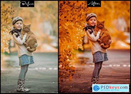 Fall Vibes - Photoshop Actions & Lightroom Presets