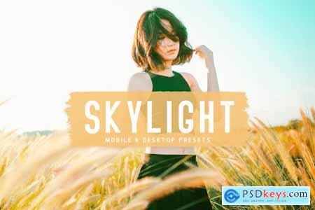 Skylight Pro Lightroom Presets 6834951