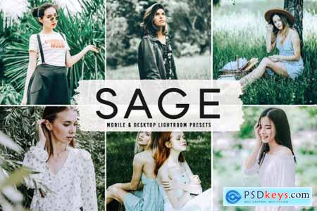 Sage Pro Lightroom Presets 6832565