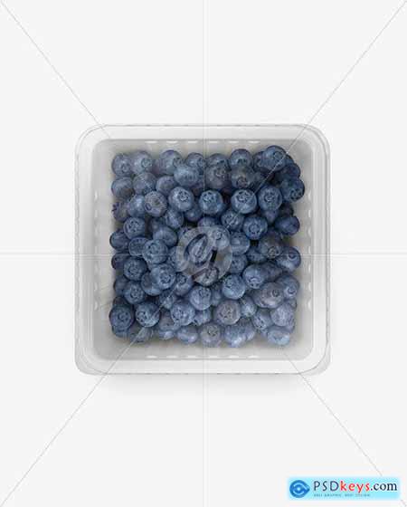 Container w- Blueberry Mockup 49552