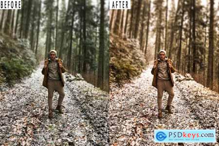 Forest Tone Photoshop Action & Lightrom Presets