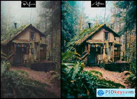 Wild Life - Photoshop Actions & Lightroom Presets