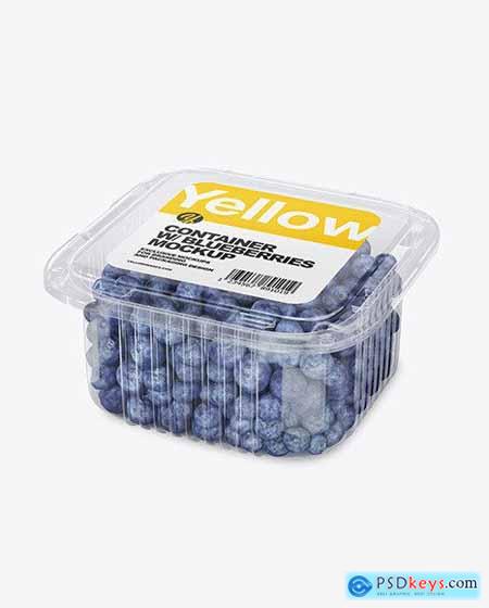 Container w- Blueberry Mockup 49728
