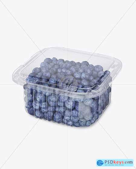 Container w- Blueberry Mockup 49728