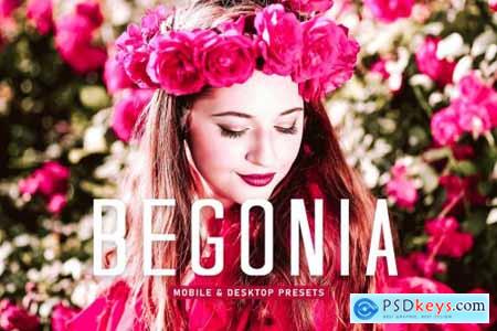Begonia Pro Lightroom Presets 6896085