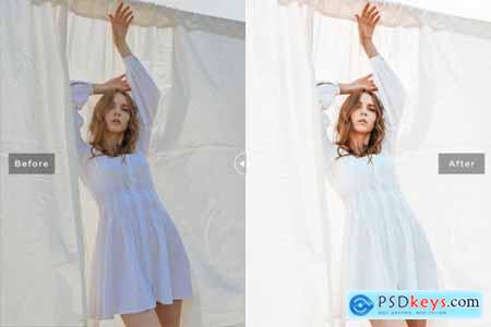 Dutch White Pro Lightroom Presets 6898035