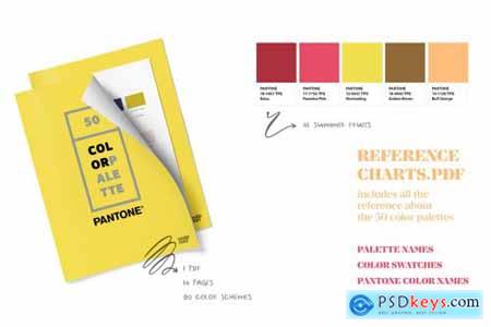 50 Pantone Branding Color Palettes 6119891