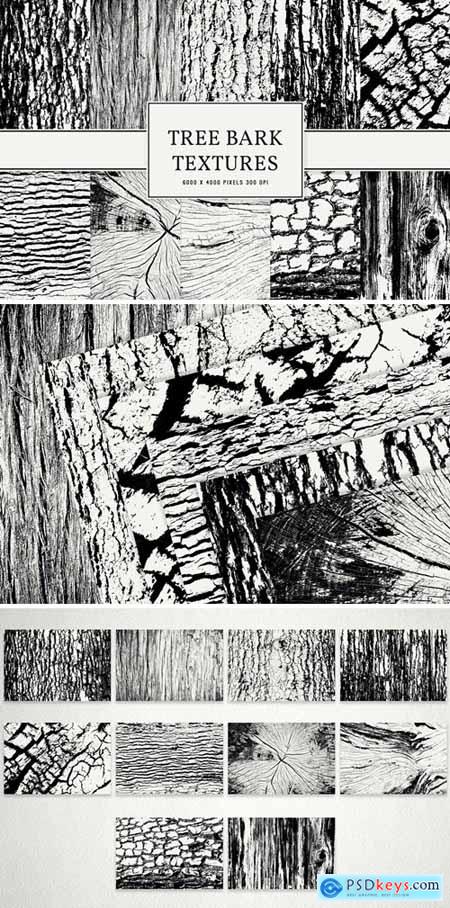 Tree Bark Textures