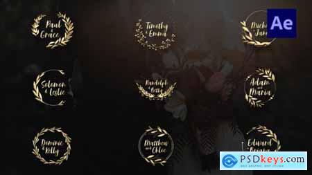 Gold Wedding TItles -After Effects 35835681
