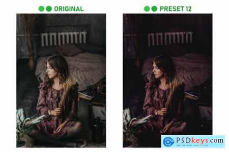 Dark LUTs Presets and Photoshop Action