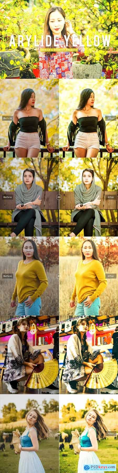 Arylide Yellow Pro Lightroom Presets 6926766