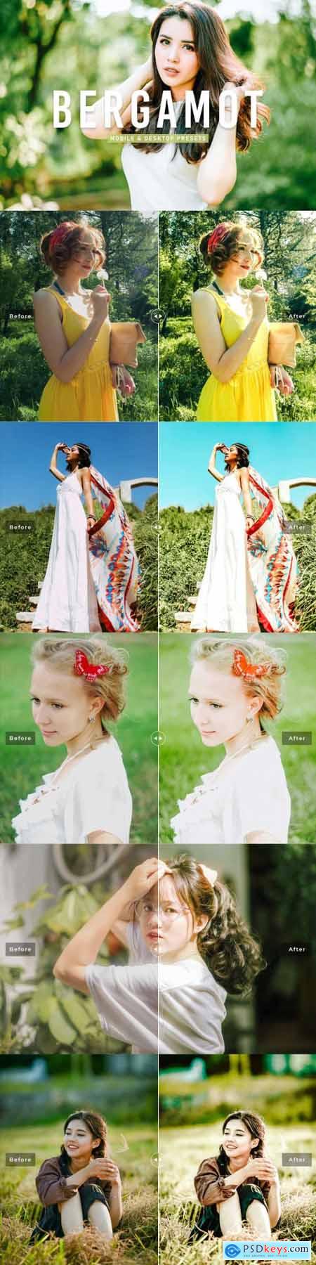 Bergamot Pro Lightroom Presets 6925579