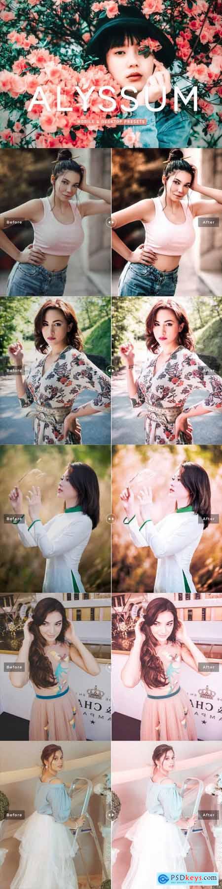 Alyssum Pro Lightroom Presets 6925560