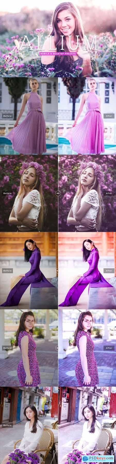 Allium Pro Lightroom Presets 6925559