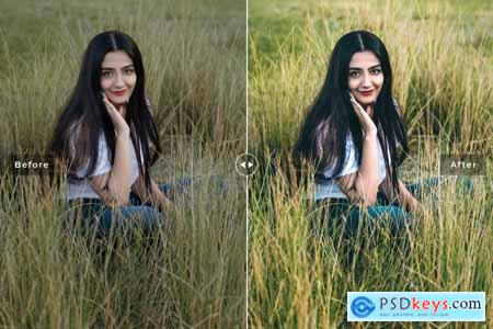 Oleander Mobile & Desktop Lightroom Presets K28DMF7