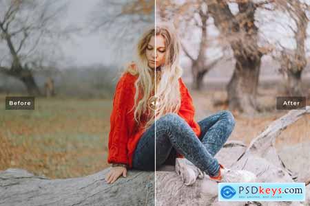 Paprika Mobile & Desktop Lightroom Presets V7WAB72