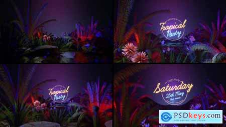 Tropical Party Opener 36113873