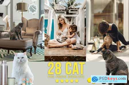 28 Cat Photoshop Overlays 6737913